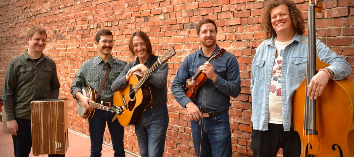 Tonewood String Band